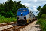 76 - Amtrak Silver Meteor